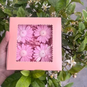 PACK OF 4 IN GIFT BOX DAISY FLOATING CANDLE- PINK