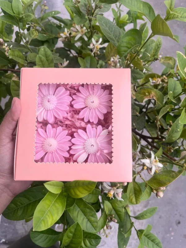 PACK OF 4 IN GIFT BOX DAISY FLOATING CANDLE- PINK