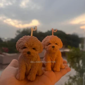 CAVAPOO DOG CANDLE