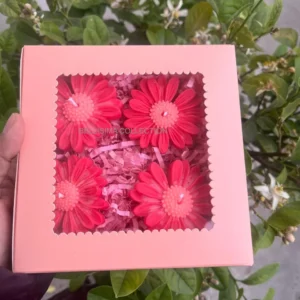 PACK OF 4 IN GIFT BOX DAISY FLOATING CANDLE-RED