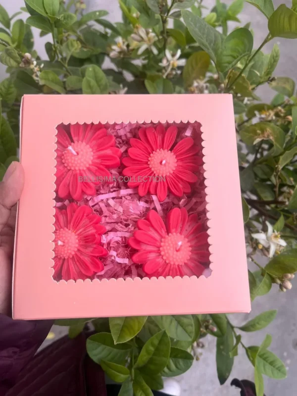 PACK OF 4 IN GIFT BOX DAISY FLOATING CANDLE-RED