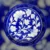 Blue-white